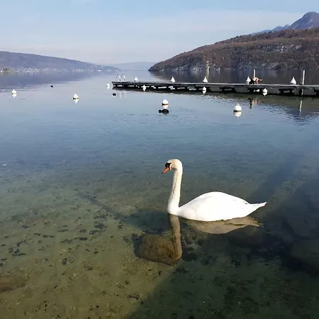 La Baie Des Voiles 3 4 A 6 Personnes Au Bord Du Privee Frühstückspension Duingt
